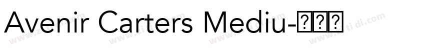 Avenir Carters Mediu字体转换